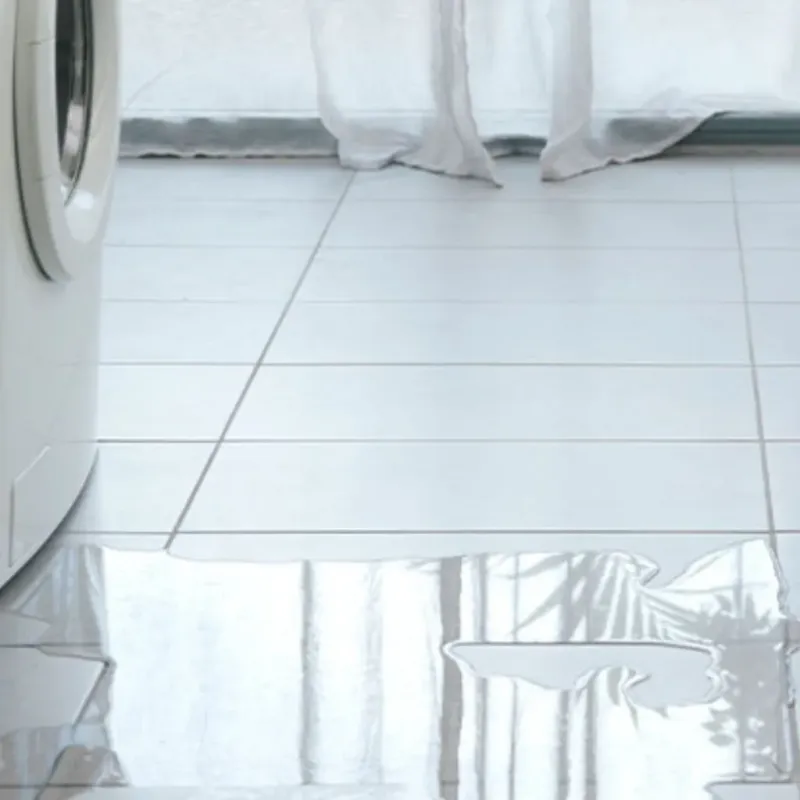 Appliance Leak Cleanup in Thorp, WI