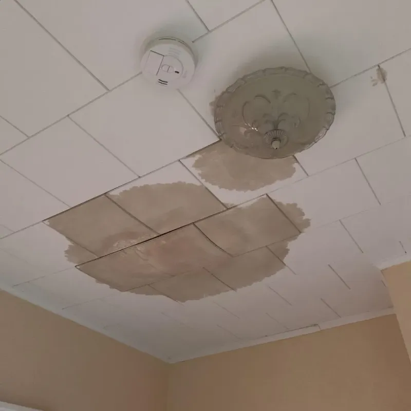 Ceiling Water Damage Repair in Thorp, WI
