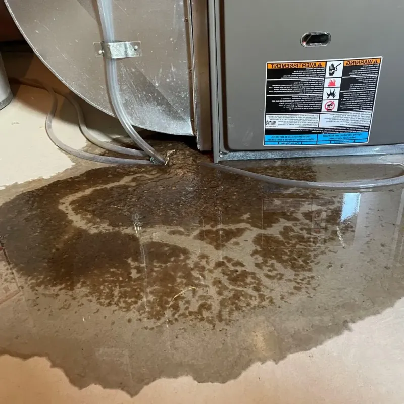 Pipe Burst and Leak Restoration in Thorp, WI